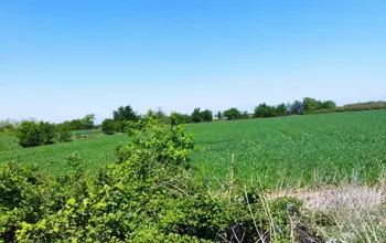 Auction image Farmland