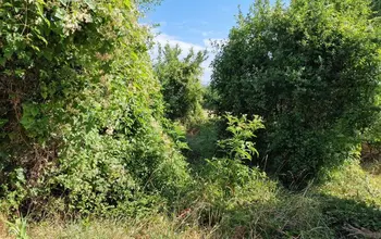 Auction image Land for building