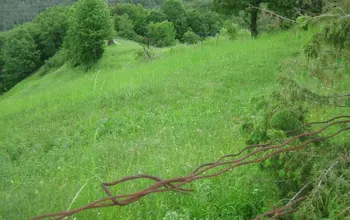 Auction image Farmland