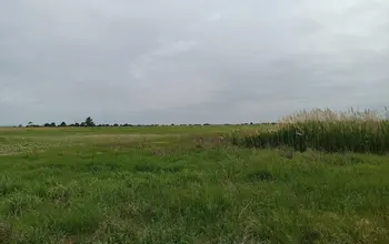 Auction image Farmland
