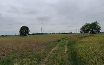 Auction image Farmland