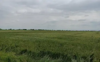 Auction image Farmland