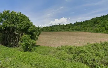 Auction image Farmland