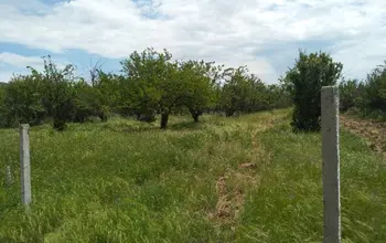 Auction image Farmland