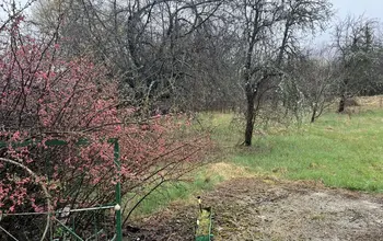 Auction image Land for building