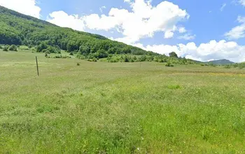 Auction image Farmland