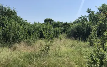Auction image Land for building