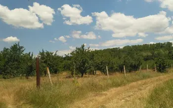 Auction image Land for building