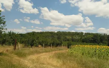 Auction image Land for building