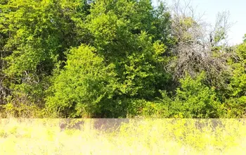 Auction image Land for building