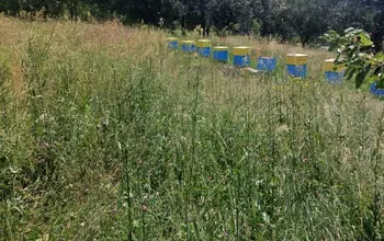 Auction image Land for building