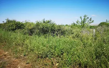 Auction image Farmland