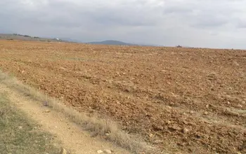 Auction image Farmland