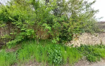 Auction image Farmland
