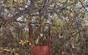 Auction image Land for building