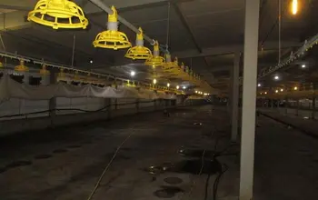 Auction image Factory, Manufacturing