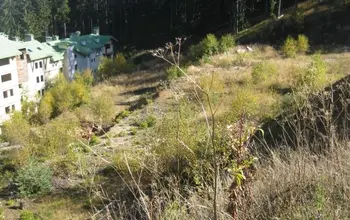 Auction image Land for building