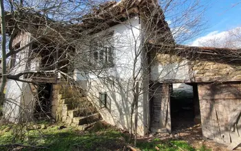 Auction image House