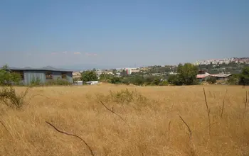 Auction image Farmland