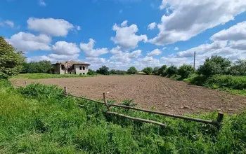 Auction image House