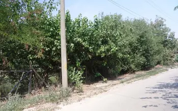 Auction image Land for building