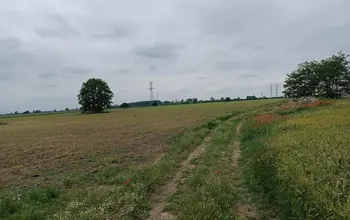 Auction image Farmland