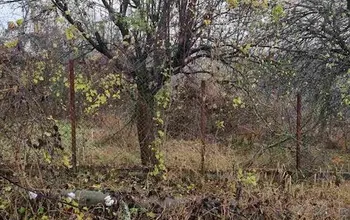 Auction image Land for building