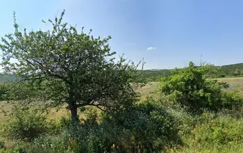 Auction image Farmland
