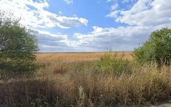 Auction image Farmland