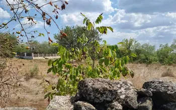 Auction image Land for building