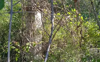 Auction image Land for building