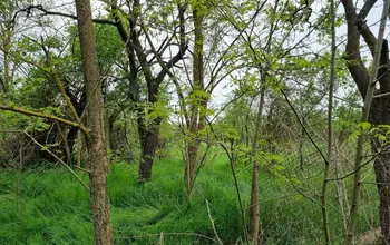 Auction image Land for building