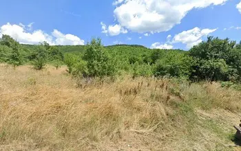 Auction image Farmland