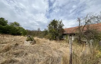 Auction image House