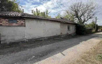 Auction image House
