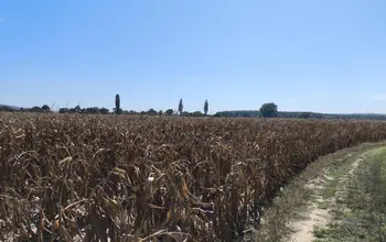 Auction image Farmland