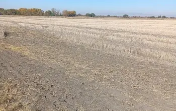 Auction image Farmland