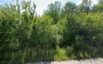 Auction image Land for building