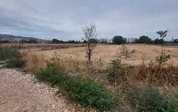 Auction image Farmland