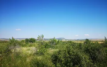 Auction image Farmland