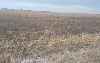 Auction image Farmland