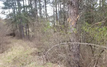 Auction image Land for building