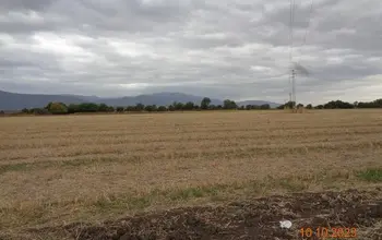 Auction image Farmland