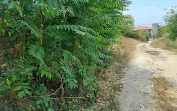Auction image Land for building