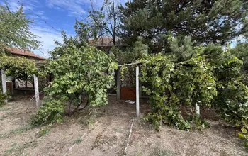 Auction image House
