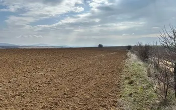 Auction image Farmland