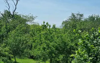 Auction image Land for building