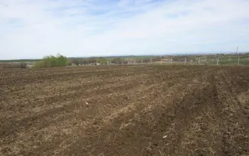 Auction image Farmland