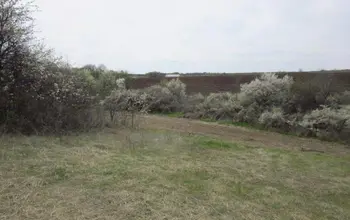 Auction image Farmland