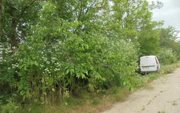 Auction image Land for building